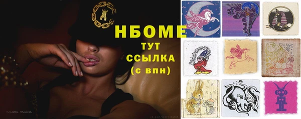 хмурый Пестово