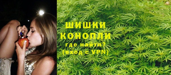 амф Пересвет